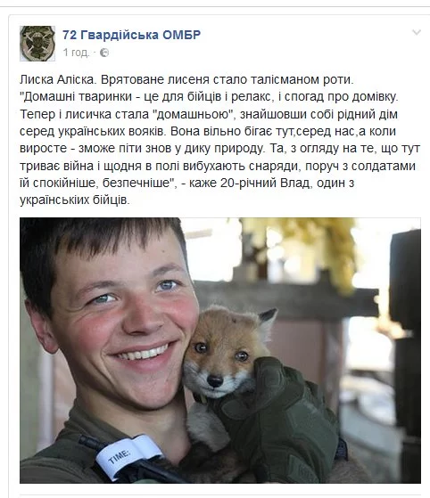 je8dbg.webp