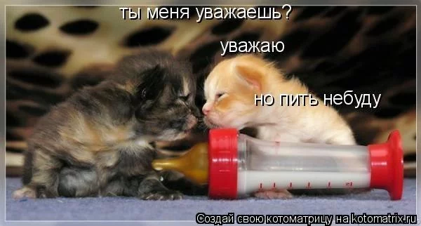 je8edd.webp
