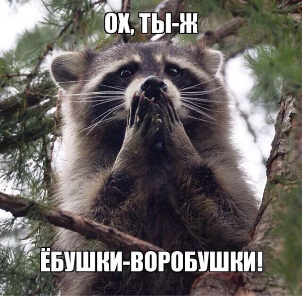 jea0cc.webp
