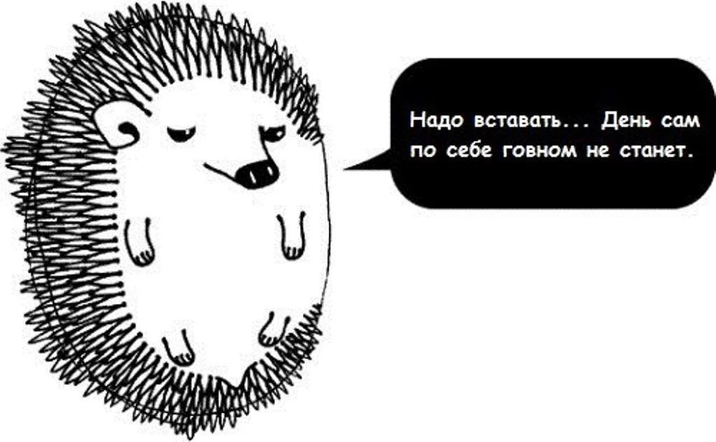 jea6cd.webp