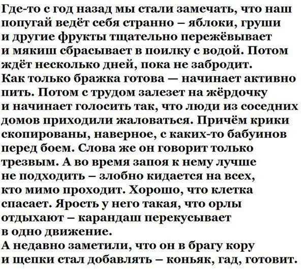 jeac4d.webp