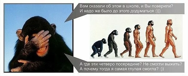 jebc4h.webp
