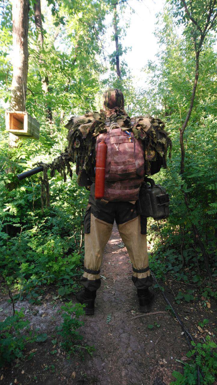 jed2dc.jpg