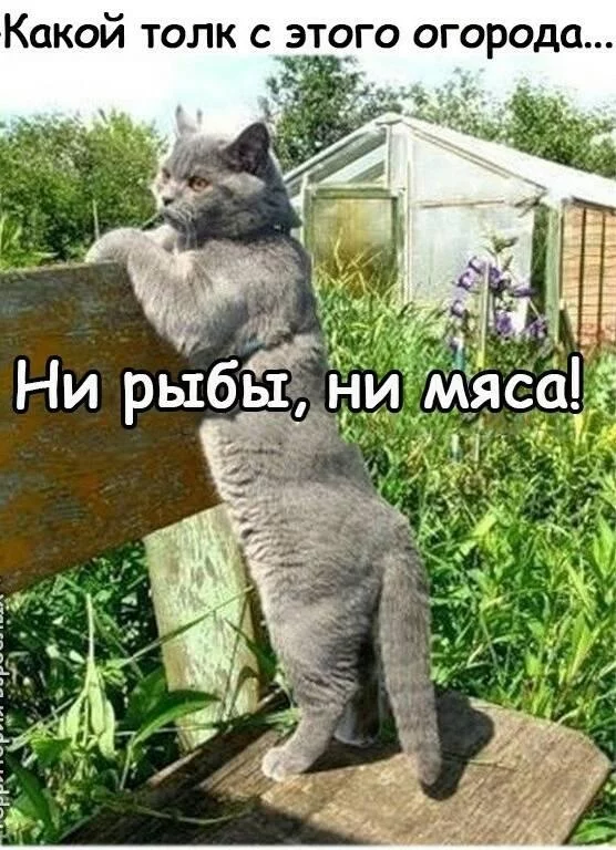 jed7bj.webp