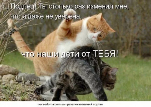 jefd9g.webp