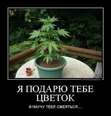 jefh9j.webp