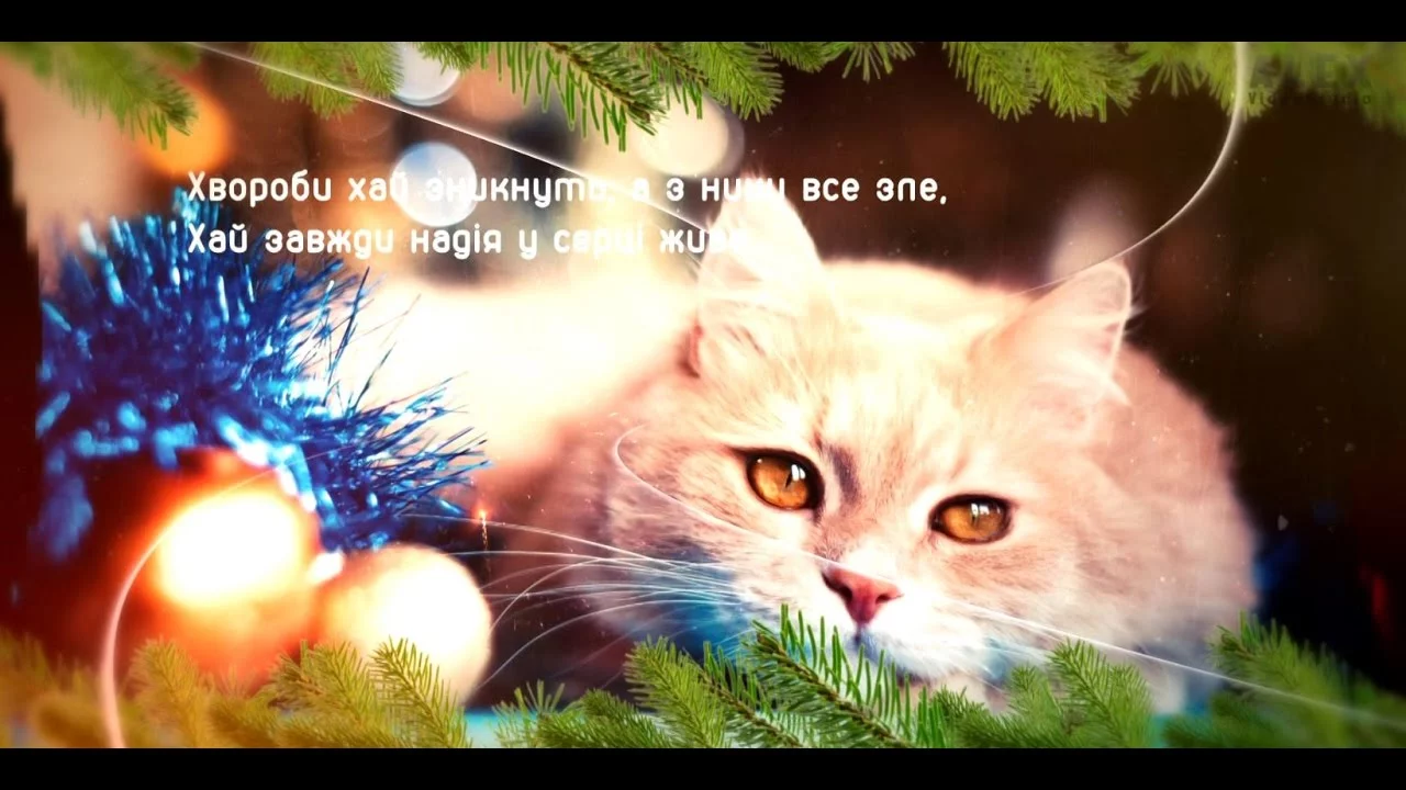 jeh7dj.webp