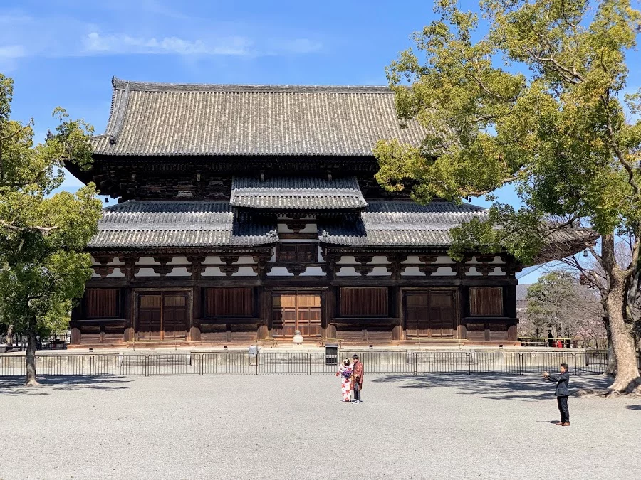jejc9h.webp