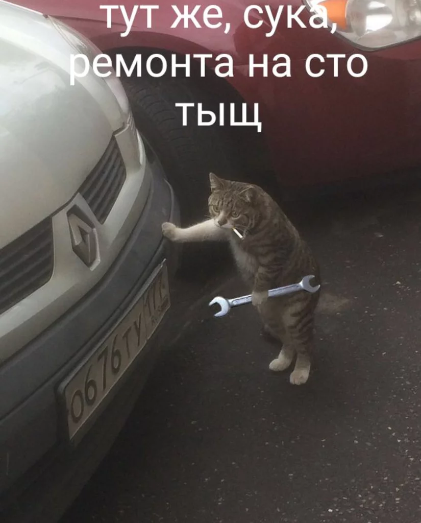 jf9fge.webp