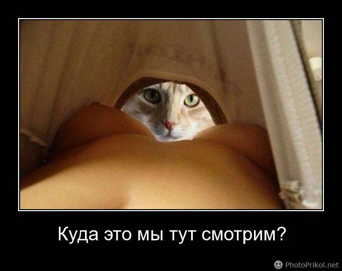 jfbbe6.webp