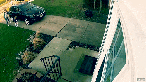 jfdab7.gif