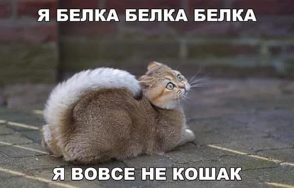jfeej0.webp