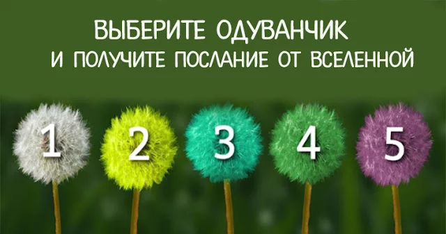 jfehe7.webp