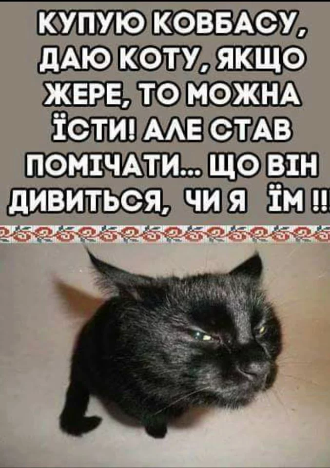 jffh5e.webp