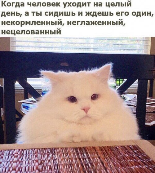 jfgcb5.jpg