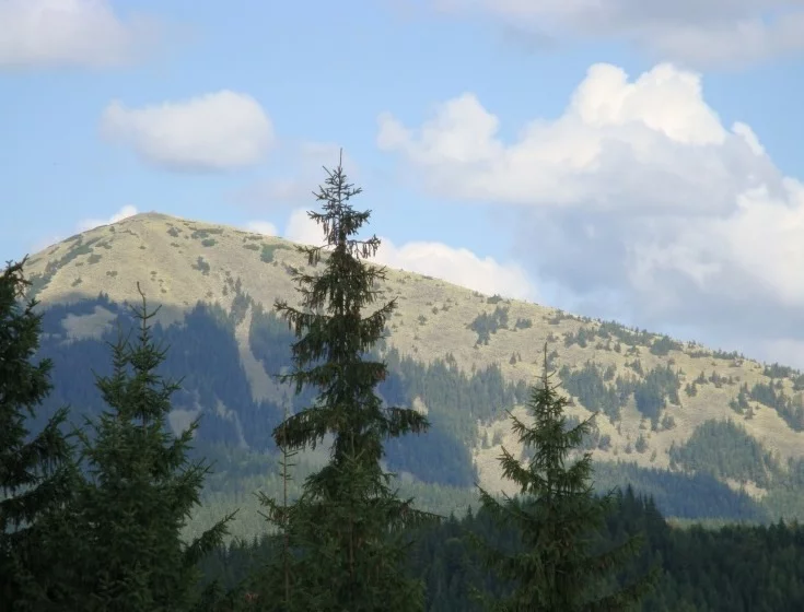 jfgf7h.webp