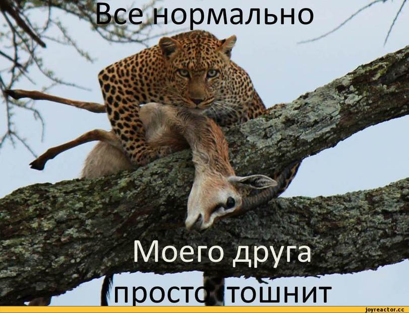 jfggj7.jpg