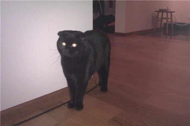 jfh6bh.webp