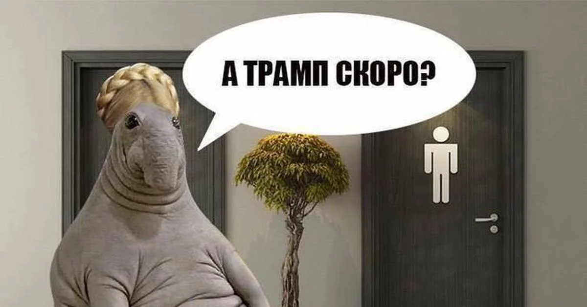 jfh9dh.webp