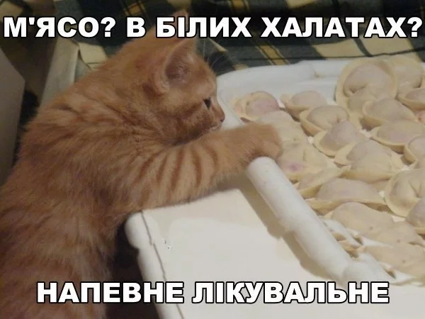 jfjbe0.webp
