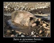 jfjh8e.webp