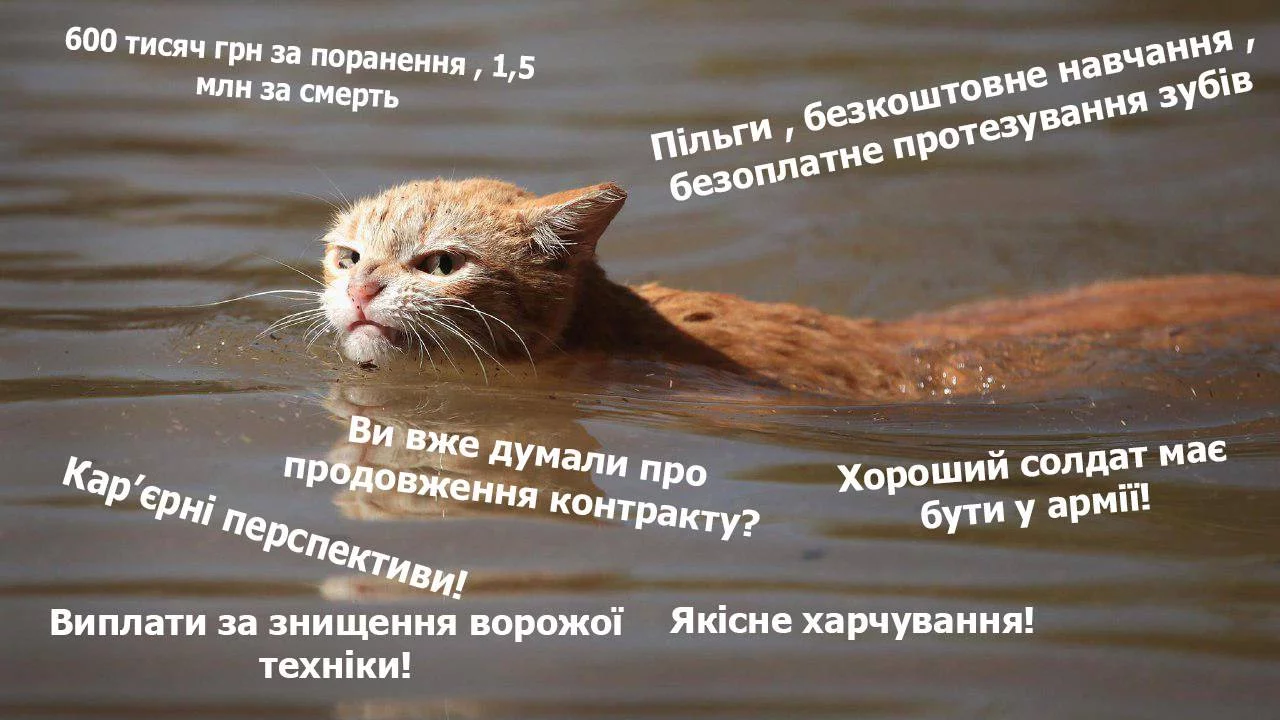 jfjjj8.webp