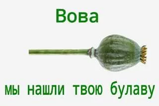 jg1dfa.webp