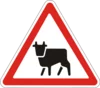 jg2hbh.webp