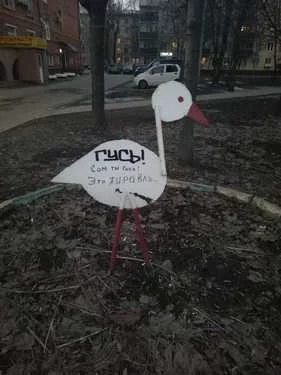 jg7jhb.jpg