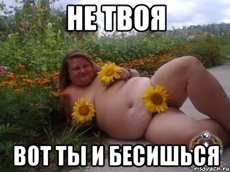 jg9ech.webp