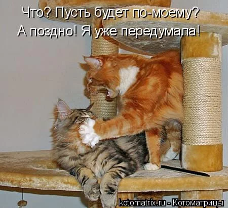 jgc9df.webp