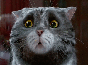 jgdbc4.gif