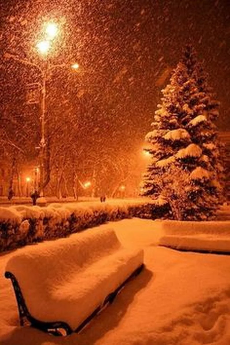 jgdh3e.webp