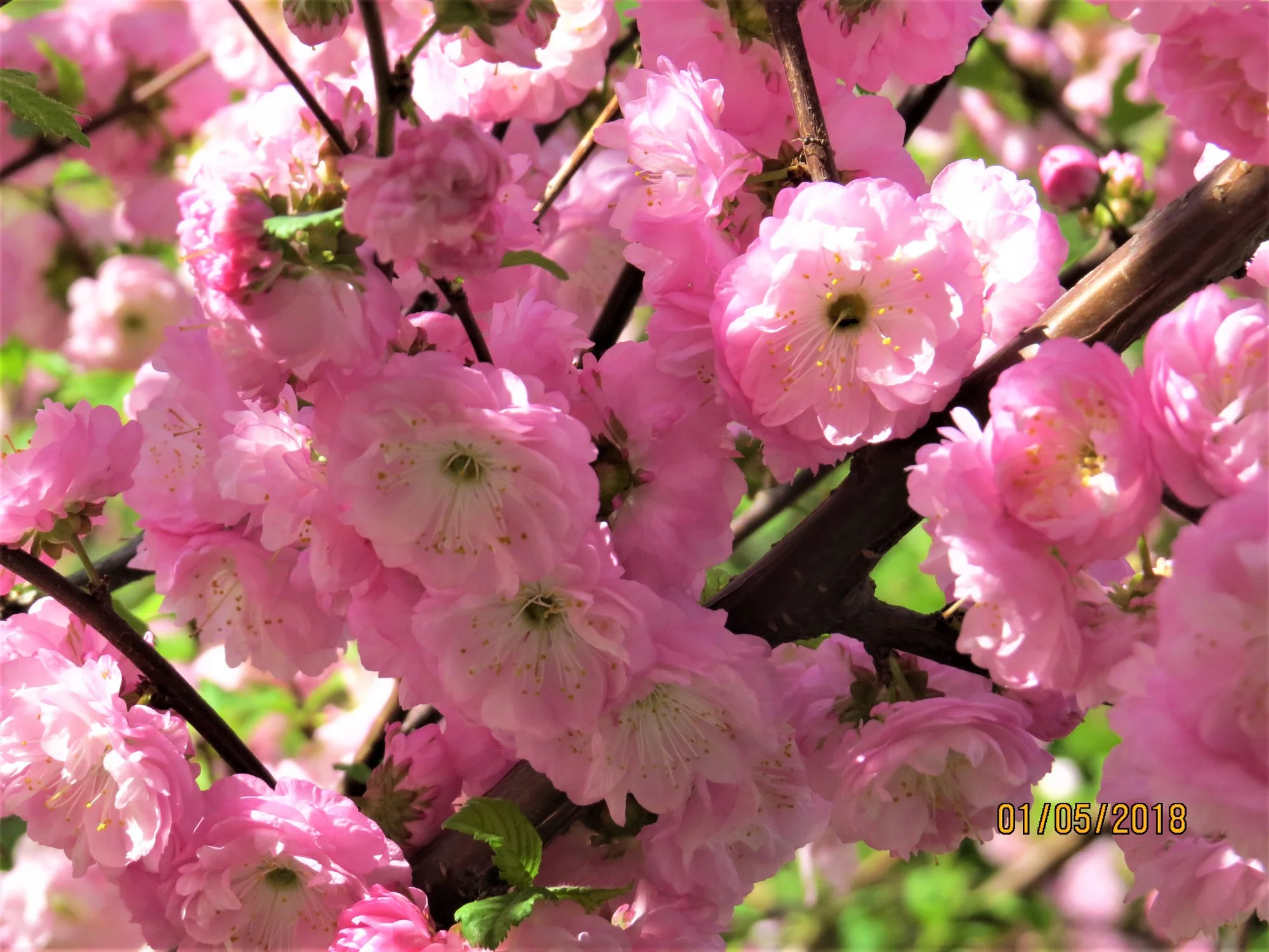 jgee4a.webp