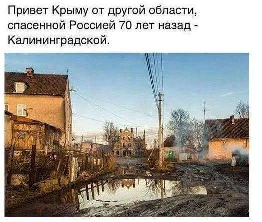 jgfcc8.webp