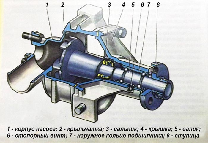 jggbe5.jpg
