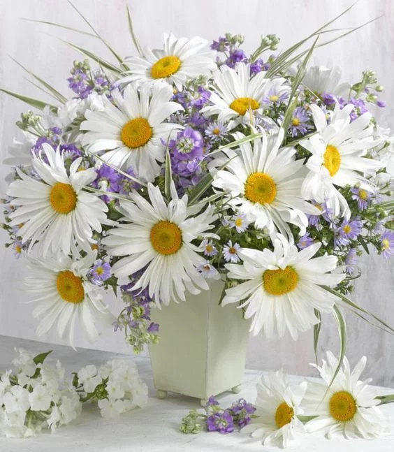 jgjb3j.webp