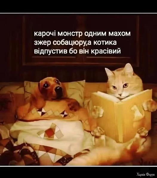 jgWKx8hBF2E8Ouwc&_nc_zt=23&_nc_ht=scontent.fdnk1-4.webp