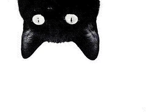 jh0chj.webp