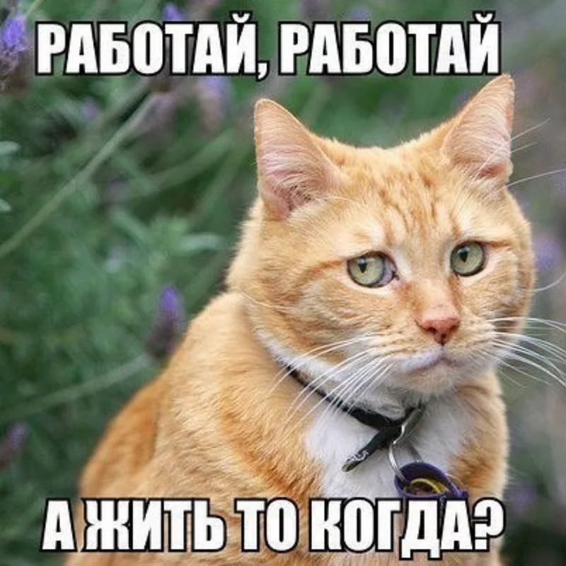 jhaf2j.webp