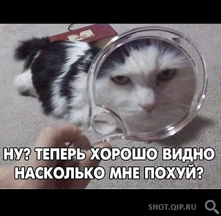 jhdej0.webp