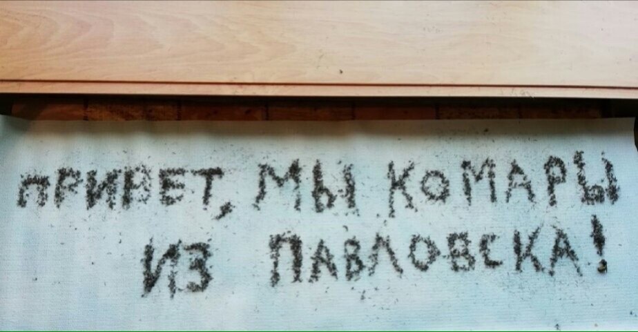 jhdfd4.jpg