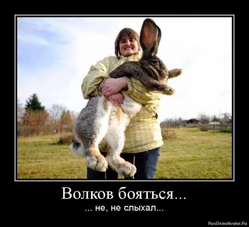 jhee4j.webp