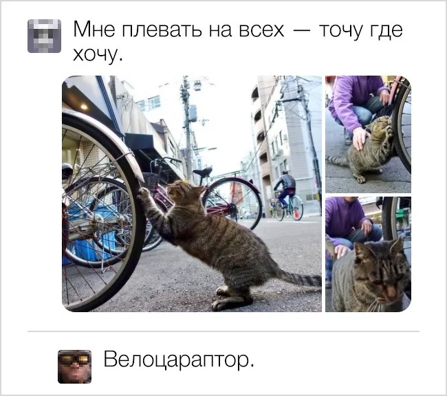 jhffd1.webp