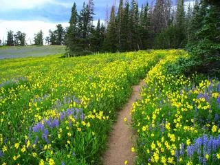 jhggd5.webp