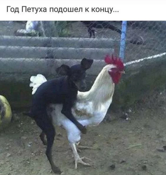 jhgj0b.webp