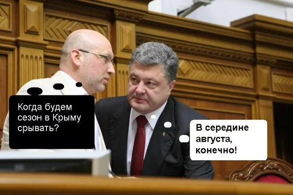 JhiDQdR21m8.webp
