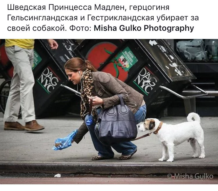 jhjef0.webp