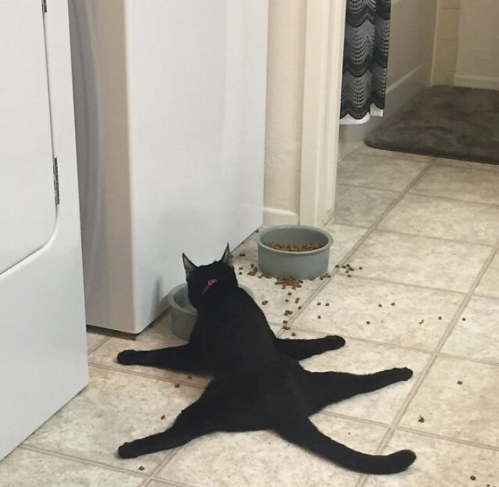 jhjfe7.jpg