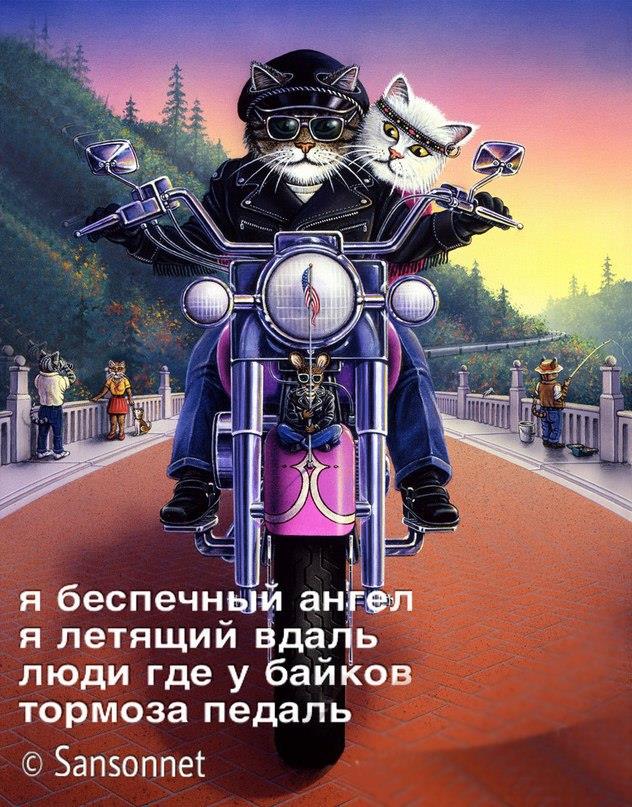 jj3ade.jpg